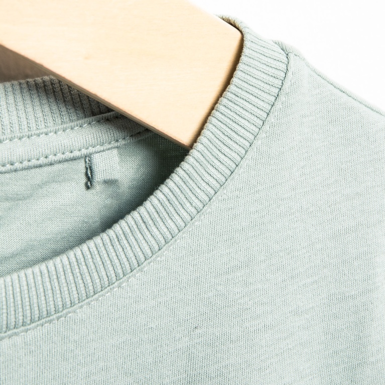 Printed t-shirt "Dusty star"